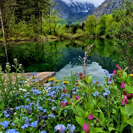 Apartman Ferienlounge Bluntausee *