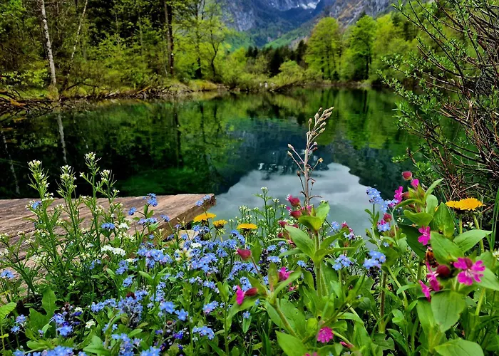 Lejlighed Ferienlounge Bluntausee *